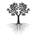 Black shape of Tree with Leaves and Roots. Vector outline Illustration. Plant in Garden Royalty Free Stock Photo