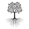 Black shape of Tree with Leaves and Roots. Vector outline Illustration. Plant in Garden Royalty Free Stock Photo