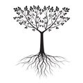 Black shape of Tree with Leaves and Roots. Vector outline Illustration. Plant in Garden Royalty Free Stock Photo