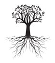 Black shape of Tree with Leaves and Roots. Vector outline Illustration. Plant in Garden Royalty Free Stock Photo
