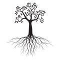 Black shape of Tree with Leaves and Roots. Vector outline Illustration. Plant in Garden Royalty Free Stock Photo