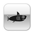 Black Shark icon isolated on white background. Silver square button. Vector. Royalty Free Stock Photo