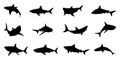 Black shark silhouette collection. Set of different shark silhouette on a white background. Shark silhouette in variety pose Royalty Free Stock Photo