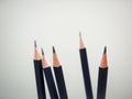Black Sharp Pencils on white background Education concept