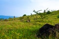 Black stones on the hillside with green grass, blue sky Royalty Free Stock Photo