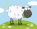 Black sheep cartoon character