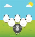 Black Sheep With Difference Thinking Royalty Free Stock Photo