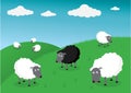 Black sheep of the family Royalty Free Stock Photo