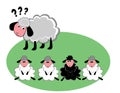 Black sheep in the family Royalty Free Stock Photo