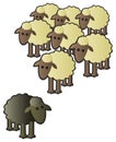 Black Sheep and Flock Royalty Free Stock Photo