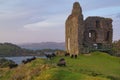 Black sheep in front of the ruins of the Royal Castle of Tarbert