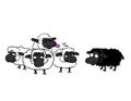 Black sheep and group of white sheep Royalty Free Stock Photo