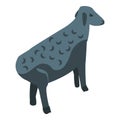 Black sheep icon, isometric style Royalty Free Stock Photo