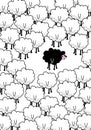 ...black sheep in the middle.