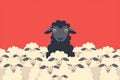 Black sheep stands out among flock of white sheep. Standing out Royalty Free Stock Photo