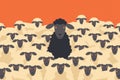 Black sheep stands out among flock of white sheep. Standing out, being different, unique Royalty Free Stock Photo