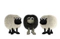 Black sheep between two white sheep Royalty Free Stock Photo