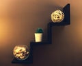 black shelf in the form of steps on a brown wall with a cactus in a pot, a vase and a wickered ball