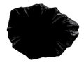 Black shell isolated on white background Royalty Free Stock Photo