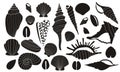 Black shells. Exotic seashells silhouettes of various shapes and forms, tropical marine animal mollusks flat icons