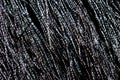 Black shiny fabric thread