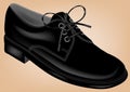 Black shoe