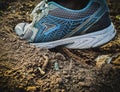 Black shoes with blue linings and soil in background