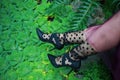 Black shoes and female legs on a green background