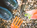 Black shoes and small young plant on gardening , spade tool with