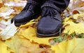 Black shoes on yellow leafs