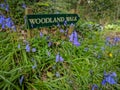 Woodland walk sign with bluebells