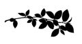 Black sihlouette of spring twig with leaves