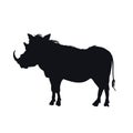 Black silhouette of african boar. Isolated desert warthog icon. Wild animals of Africa. Savannah nature