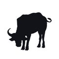 Black silhouette of african buffalo on white background. Isolated bull icon. Wild animals of Africa. Savannah nature