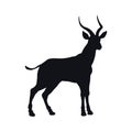 Black silhouette of african gazelle on white background. Isolated antelope icon. Wild animals of Africa. Savannah nature Royalty Free Stock Photo