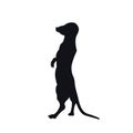 Black silhouette of african meerkat on white background. Isolated mongoose icon. Wild animals of Africa. Savannah nature Royalty Free Stock Photo