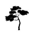 Black silhouette of african tree. Isolated image of savannah nature. Forest landscape of Africa. Acacia icon Royalty Free Stock Photo