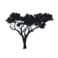 Black silhouette of african tree. Isolated image of savannah nature. Forest landscape of Africa. Acacia icon Royalty Free Stock Photo