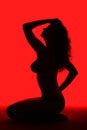 Black silhouette against red Royalty Free Stock Photo