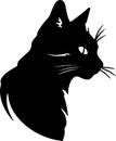 American Wirehair Cat Black Silhouette Generative Ai Royalty Free Stock Photo