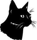 American Wirehair Cat Black Silhouette Generative Ai Royalty Free Stock Photo