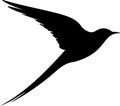 Arctictern Black Silhouette Generative Ai Royalty Free Stock Photo