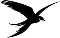 Arctictern Black Silhouette Generative Ai Royalty Free Stock Photo