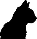 Bambino Cat Black Silhouette Generative Ai Royalty Free Stock Photo