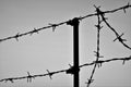Black silhouette of barbed wire fence, BW photo. Royalty Free Stock Photo