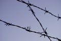 Black silhouette of a barbed wire fence closeup in evening blue sky background Royalty Free Stock Photo