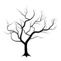Black silhouette bare tree . Vector illustration. Royalty Free Stock Photo