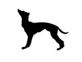 Black silhouette of a barking dog on white background. Computer generated sketch / drawing.