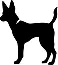 Basenji Black Silhouette Generative Ai Royalty Free Stock Photo