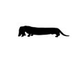 Black silhouette of a basset hound dog on white background. Computer generated sketch / drawing. Royalty Free Stock Photo